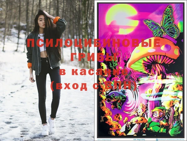 ECSTASY Дубна