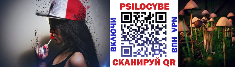 где купить наркоту  Черноголовка  Галлюциногенные грибы Psilocybine cubensis 